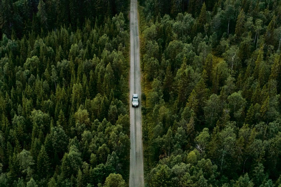 Grosse Waldfläche mit Strasse und einsamen Auto - Drohnenfoto